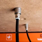 UJK V Dog - Thumbnail Image 6